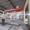 Tilting and Demoulding Crane-1